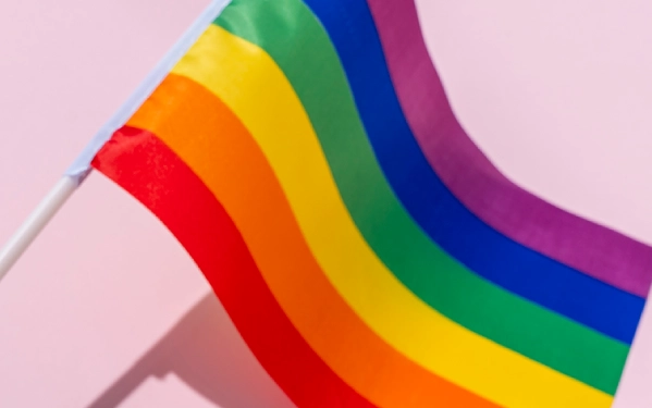 Interpreting the Meaning of the Gay Flag